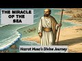 When The Sea Opened The Untold Power Of Faith In The Story Of Prophet Musa AS MusaAS RedSeaSplit