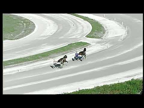 Trotto 13/12/2020 - prova di qualifica