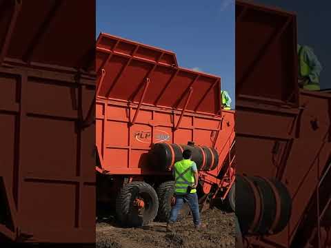 Plantio mecanizado em São Miguel dos Campos - 2024