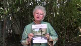 Plant Nirvana and Other Garden Beauties