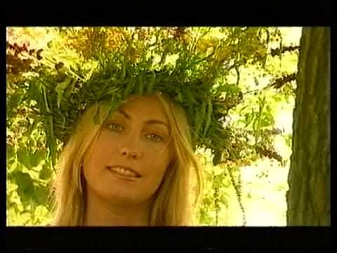 Віктор Павлік - Бо в сні відлітаю (Official video) 1999 р