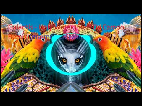 Galantis-holy water  (Steff Da Campo Remix)