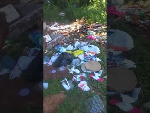 Dengue no Mato Grosso do Sul 18 óbitos confirmados em decorrência da doença em 2025.