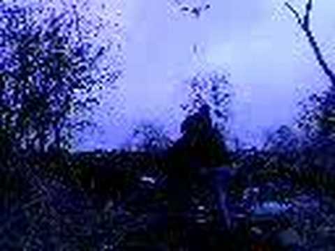 Thu Tarzy In Pittington