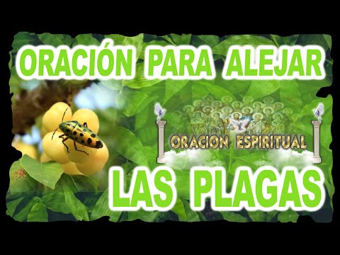 Prayer to Ward Off Plagues | Spiritual Prayer