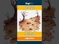 desolate - solitario video thumbnail