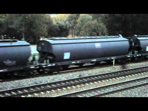 El Zorro Grain at Maitland - VL352/G533