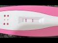 Infertility Getting Pregnant How To Get Pregnant With Homeopathy