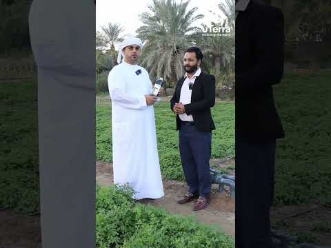 Vignette du témoignage vidéo d'un utilisateur uTerra aux Émirats arabes unis