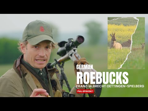 The Science Behind German Roe Deer Management