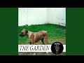 The, Garden, Vexation 