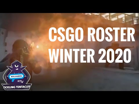 CSGO Fragmovie - TT willhaben esports Roster Announcement (Winter 2020)