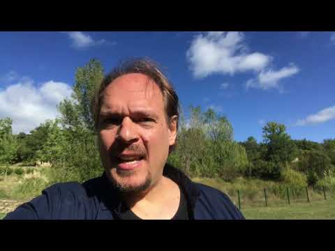 Reading between the lines (14x43)