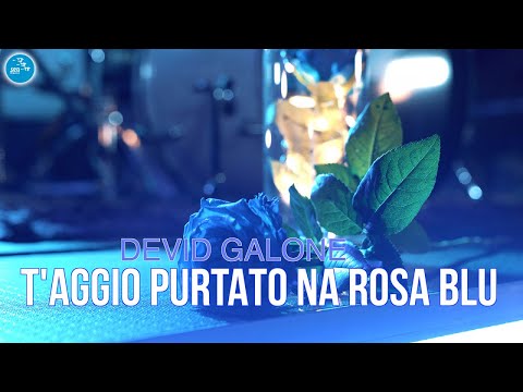 Devid Galone - T'aggio purtato na rosa blu ( Ufficiale 2022 )