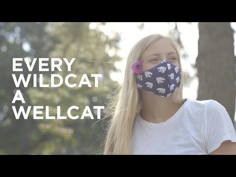 Every Wildcat A Wellcat
