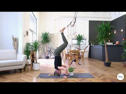 Plant Yoga: The Headstand.