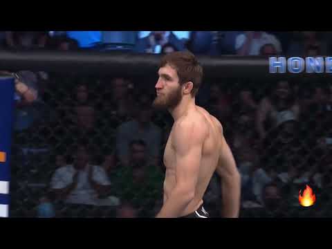 UFC Bantamweight's Said Nurmagomedov Highlights, Knockouts and submissions