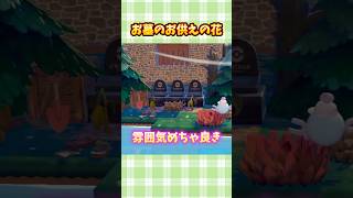 【ぽこポケ】天才！？枯れた野菜がお墓にピッタリ【ぽこあポケモン】#shorts #ぽこポケ