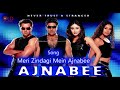 Meri Zindagi Mein Ajnabee Ka Intezar Hai HD