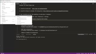 Visual Studio Code Terminals Configuration