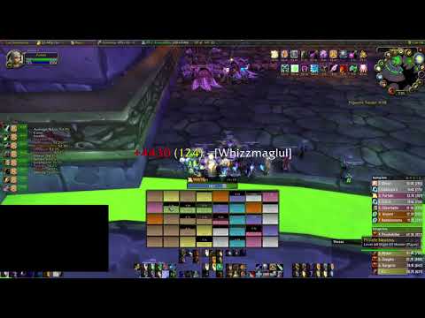 WoW Classic Naxx Paladin POV