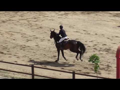 Sotiris Antonopoulos + By Chance, Telikos Prwtathlima 2018@OKIM, 20-5-2018, 3os Gyros Paidwn 1.25m