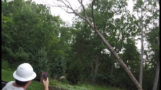 Three Dead Sisters