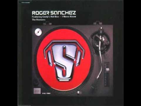 Roger Sanchez -Never Knew.