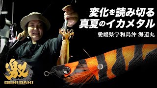 変化を読み切る真夏のイカメタル 愛媛県宇和島沖 / 田中亜衣