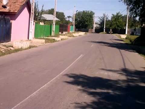 Spre Sindrilita prin Piteasca