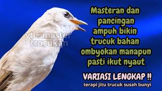 Download lagu Trucukan GACOR ngalas ROPEL PANJANG suara alam AMPUH buat pancingan jadikan trucuk Gacor GARUDA mp3