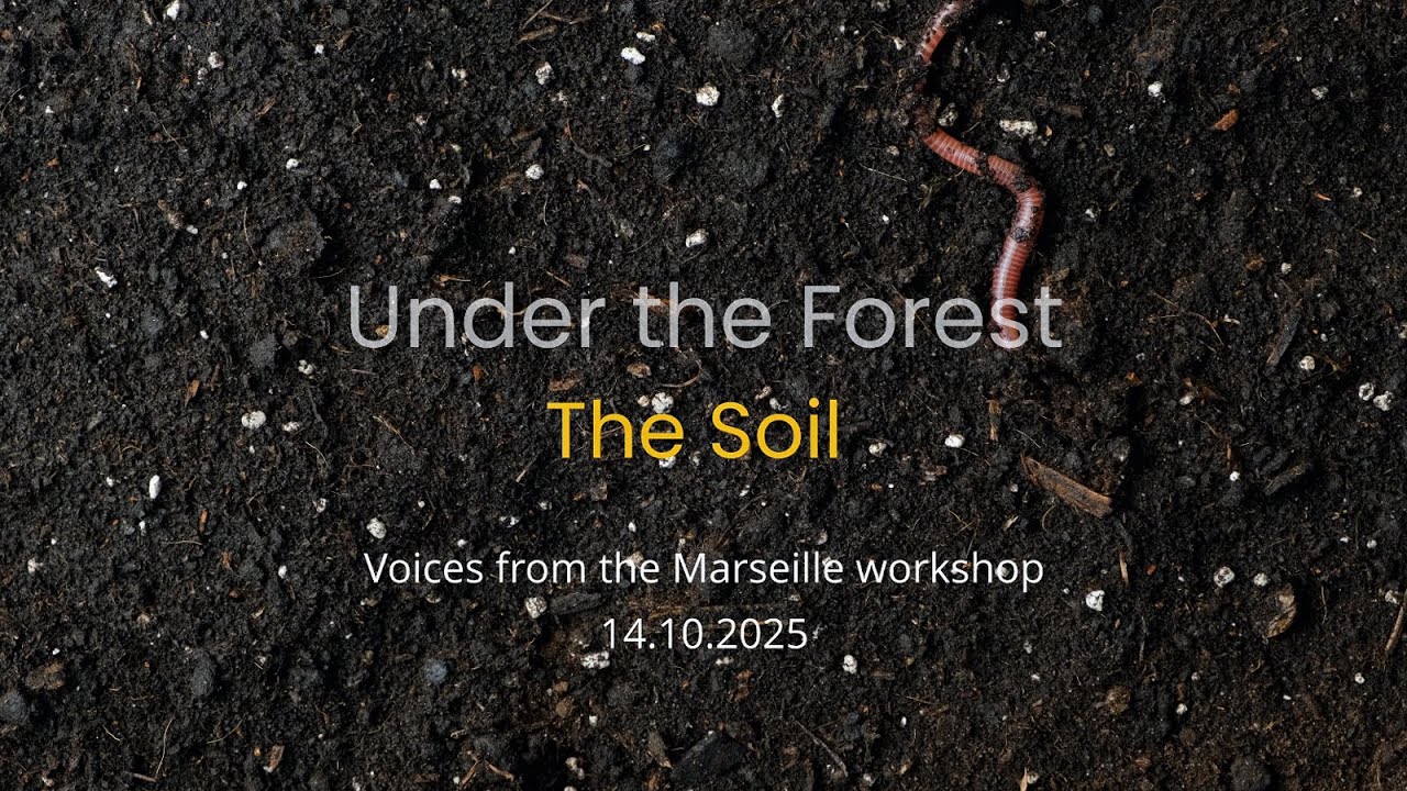 Under the Forest, the Soil: Voices from the HoliSoils Marseille Workshop (October 2025)