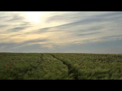 Frosun - Endless Road (Namatjira Remix)