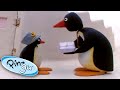 Pingu Delivers The Mail Pingu Official Cartoons For Kids