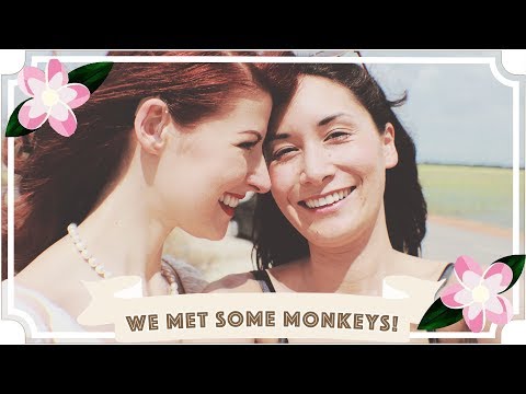 私たちは何匹かのサルに会った!// Jessie & Claud // マレーシア旅行記 (We Met Some Monkeys! // Jessie & Claud // Malaysia Travel Vlog)