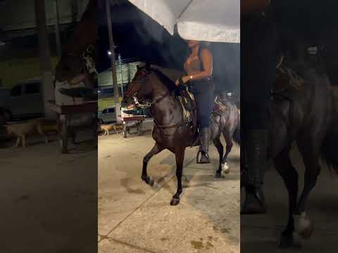 Baraya Huila #colombia #automobile #travesia #deporte #enbuscadelosmejoresprecios #turismo