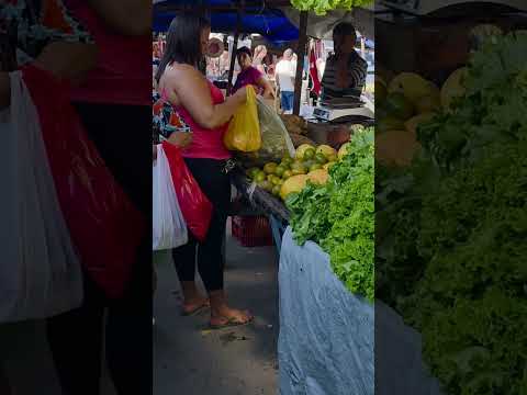 Feira Livre de Taquarana aos sábados. Alagoas. 18.07.2026