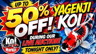 Thursday Night High Quality Auction - https://tinyurl.com/43nftv6x