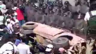 perro negro Lila Downs