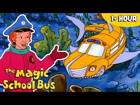 Science Under the Sea | Full Episodes | The Magic School Bus