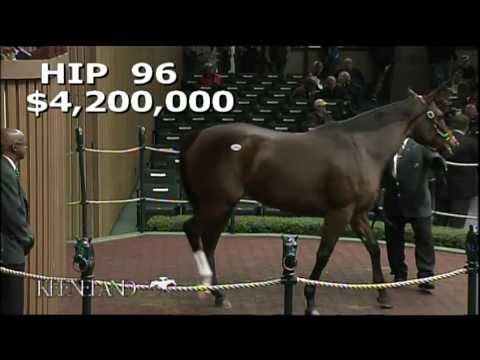 2012 November Breeding Stock Sale - Hip 96, Plum Pretty
