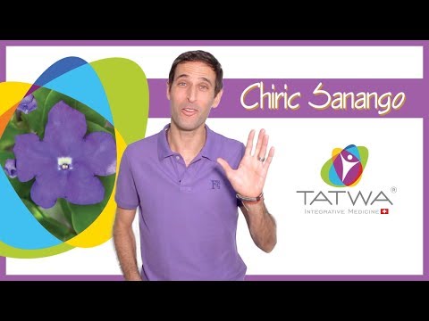 Videos from Tatwa Sàrl