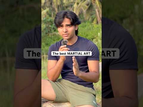 Deadliest martial art #mixedmartialarts #mma #karate #martialarts #martialartstraining #kungfu