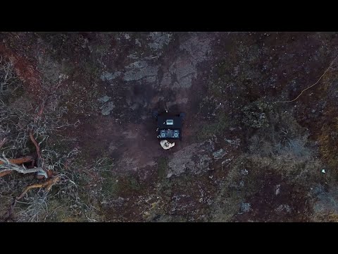 WHIPPED CREAM - Room Service Festival (Full Set)