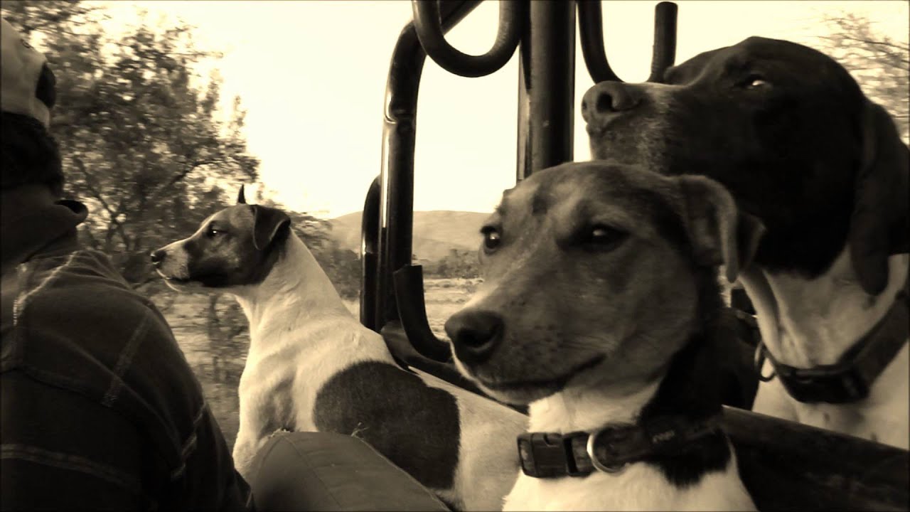 Three Members Making Your Experience More Memorable