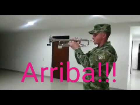 TROMPETA, TOQUE DE DIANA, PARA LEVANTARSE CON ENERGÍA