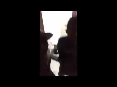 Mc Orochi o  braboo 🎶💥