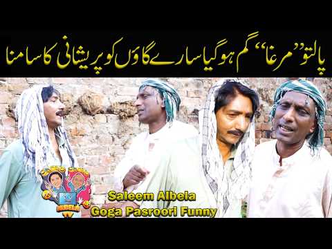 Kukkar Goom Ho Gia pind preshaan | Saleem Albela and Goga Pasroori Funny Video
