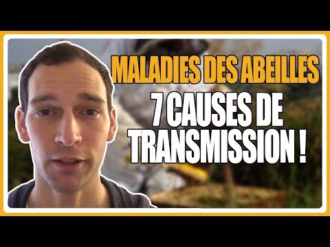 , title : 'Maladies des abeilles : 7 causes de transmission !'