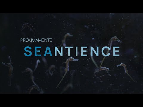 Documental SEANTIENCE - Teaser